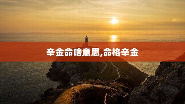 辛金命啥意思,命格辛金