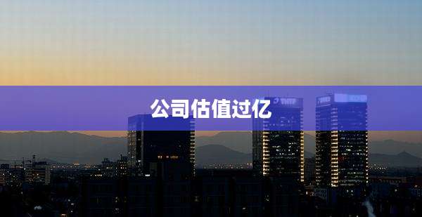 公司估值过亿