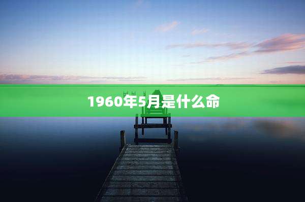 1960年5月是什么命