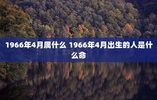 1966年4月属什么 1966年4月出生的人是什么命