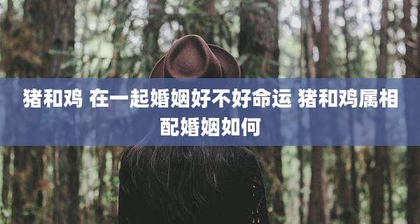 猪和鸡 在一起婚姻好不好命运 猪和鸡属相配婚姻如何