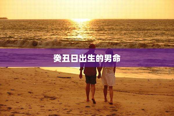 癸丑日出生的男命