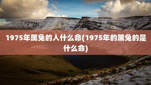 1975年属兔的人什么命(1975年的属兔的是什么命)