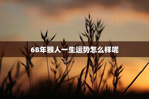 68年猴人一生运势怎么样呢