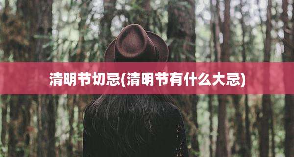 清明节切忌(清明节有什么大忌)