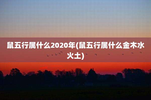 鼠五行属什么2020年(鼠五行属什么金木水火土)