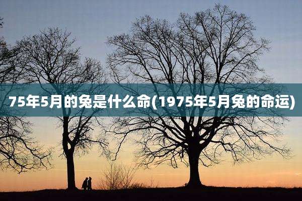 75年5月的兔是什么命(1975年5月兔的命运)