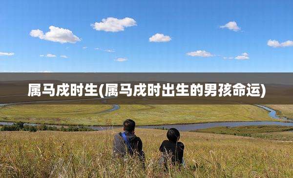 属马戍时生(属马戌时出生的男孩命运)