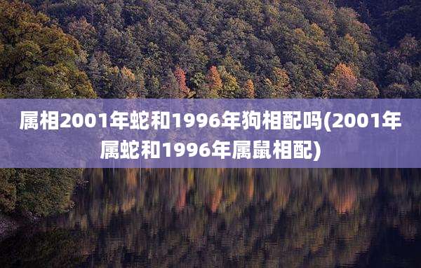 属相2001年蛇和1996年狗相配吗(2001年属蛇和1996年属鼠相配)