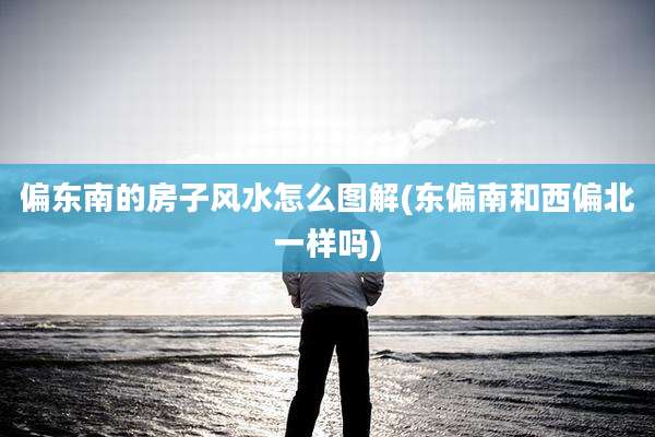 偏东南的房子风水怎么图解(东偏南和西偏北一样吗)