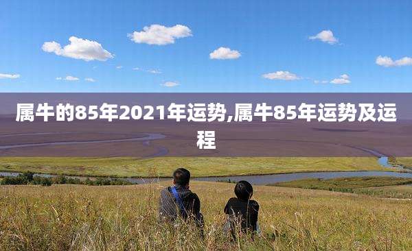 属牛的85年2021年运势,属牛85年运势及运程