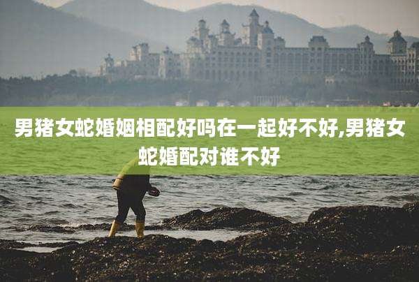男猪女蛇婚姻相配好吗在一起好不好,男猪女蛇婚配对谁不好