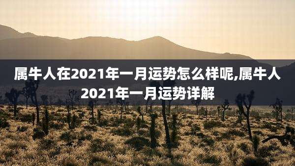 属牛人在2021年一月运势怎么样呢,属牛人2021年一月运势详解