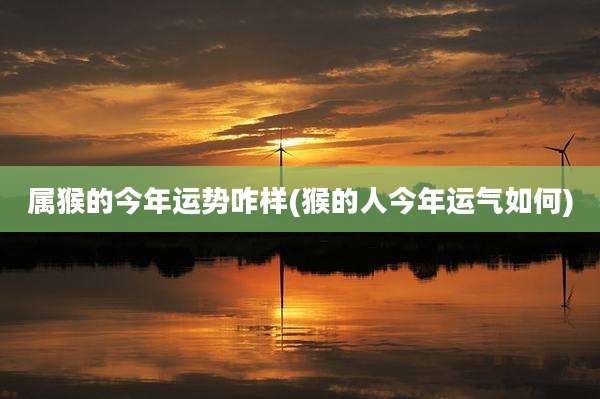 属猴的今年运势咋样(猴的人今年运气如何)