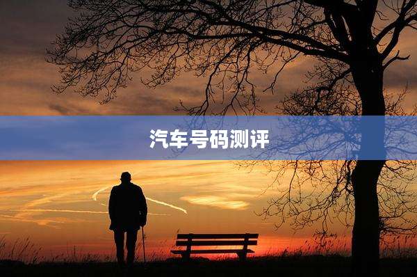 汽车号码测评
