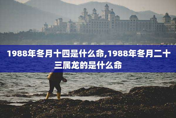 1988年冬月十四是什么命,1988年冬月二十三属龙的是什么命