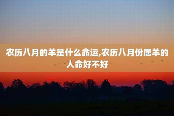 农历八月的羊是什么命运,农历八月份属羊的人命好不好