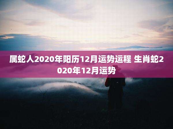 属蛇人2020年阳历12月运势运程 生肖蛇2020年12月运势