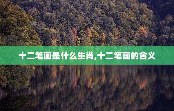 十二笔画是什么生肖,十二笔画的含义