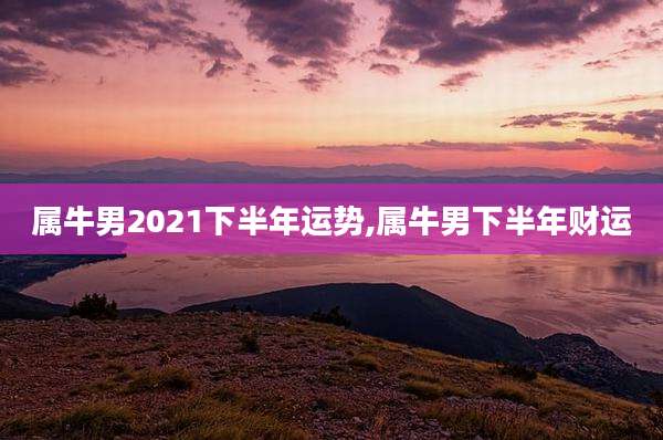 属牛男2021下半年运势,属牛男下半年财运