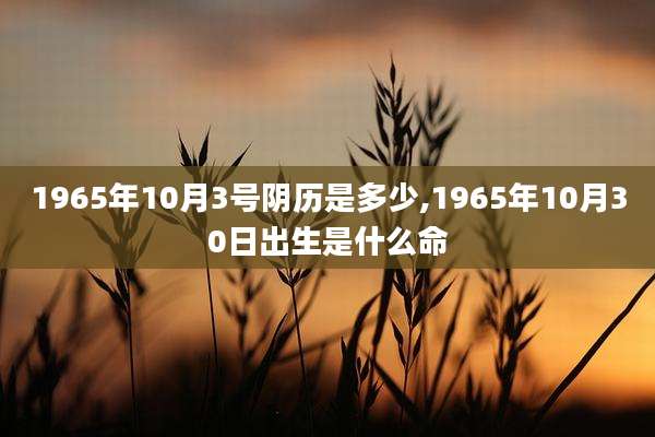 1965年10月3号阴历是多少,1965年10月30日出生是什么命