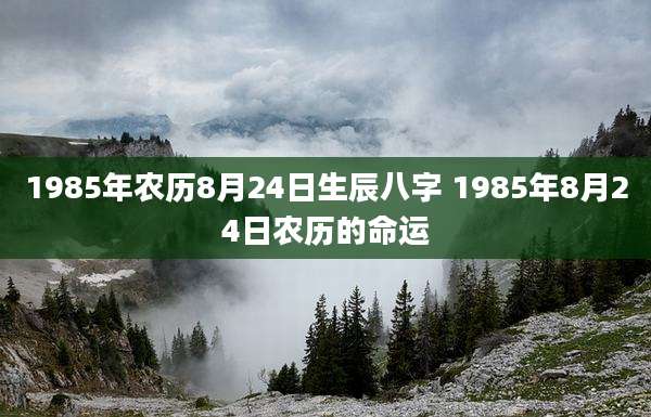 1985年农历8月24日生辰八字 1985年8月24日农历的命运