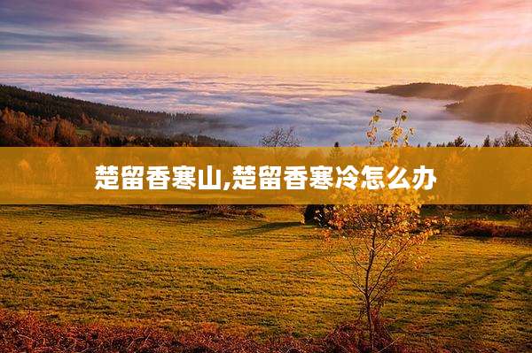 楚留香寒山,楚留香寒冷怎么办