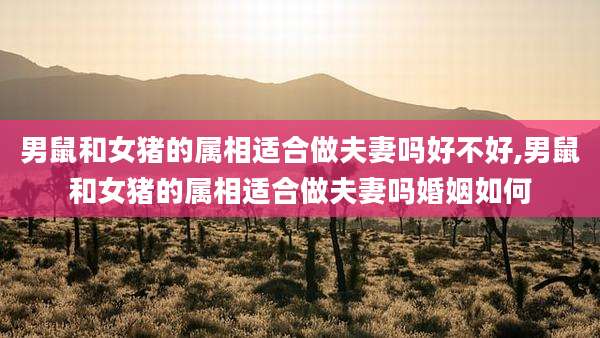 男鼠和女猪的属相适合做夫妻吗好不好,男鼠和女猪的属相适合做夫妻吗婚姻如何