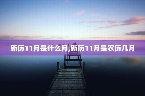 新历11月是什么月,新历11月是农历几月