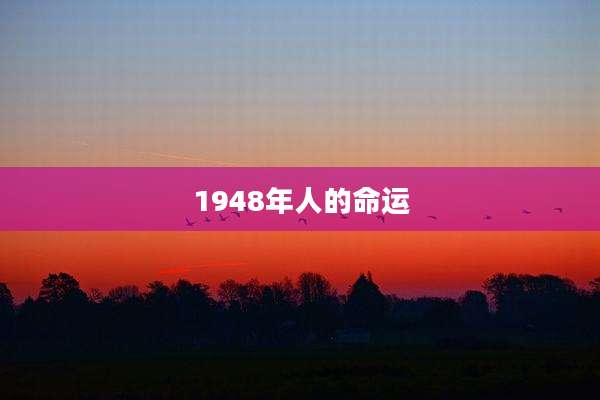 1948年人的命运