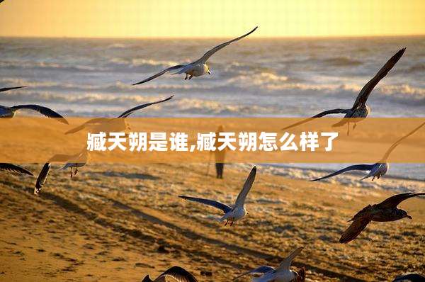 臧天朔是谁,臧天朔怎么样了