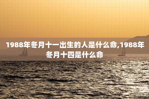 1988年冬月十一出生的人是什么命,1988年冬月十四是什么命