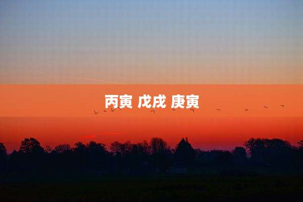 丙寅 戊戌 庚寅