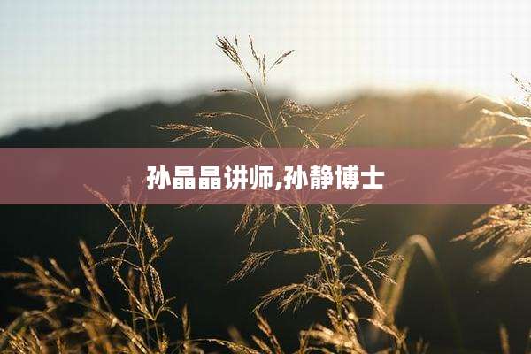 孙晶晶讲师,孙静博士