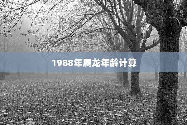 1988年属龙年龄计算