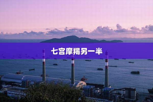 七宫摩羯另一半