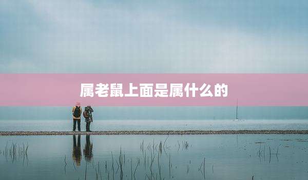 属老鼠上面是属什么的