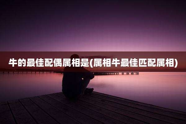 牛的最佳配偶属相是(属相牛最佳匹配属相)