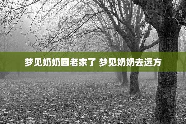梦见奶奶回老家了 梦见奶奶去远方