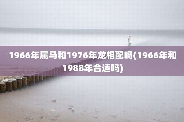 1966年属马和1976年龙相配吗(1966年和1988年合适吗)