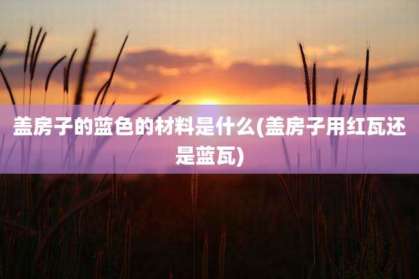 盖房子的蓝色的材料是什么(盖房子用红瓦还是蓝瓦)