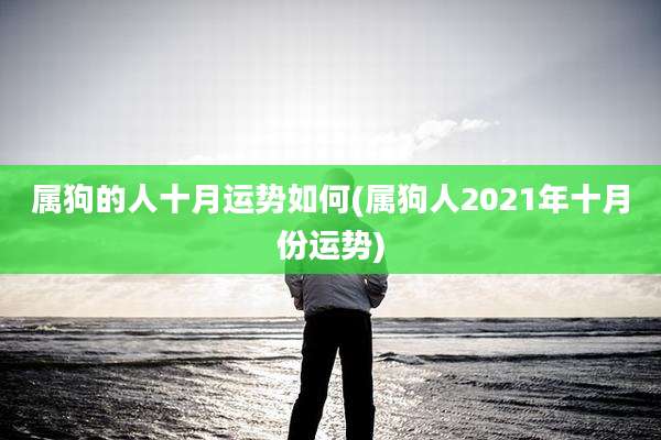 属狗的人十月运势如何(属狗人2021年十月份运势)