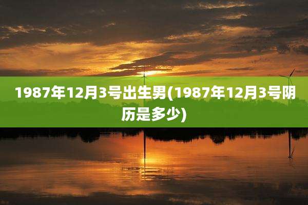 1987年12月3号出生男(1987年12月3号阴历是多少)