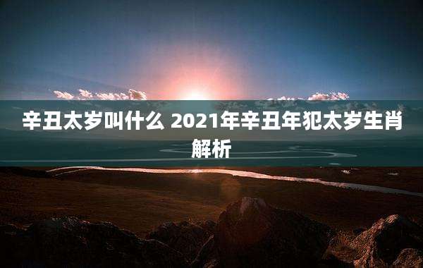 辛丑太岁叫什么 2021年辛丑年犯太岁生肖解析