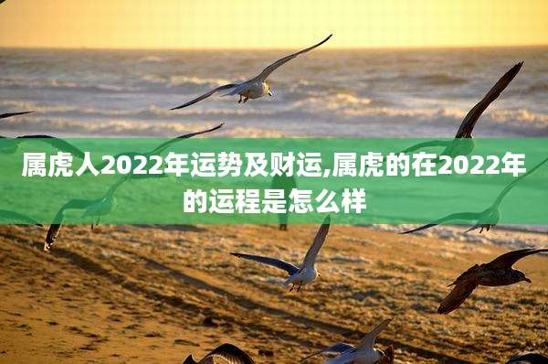 属虎人2022年运势及财运,属虎的在2022年的运程是怎么样