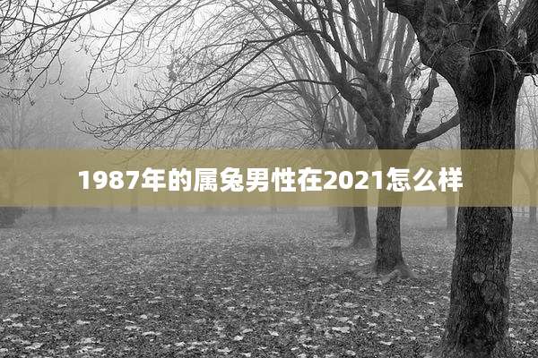 1987年的属兔男性在2021怎么样