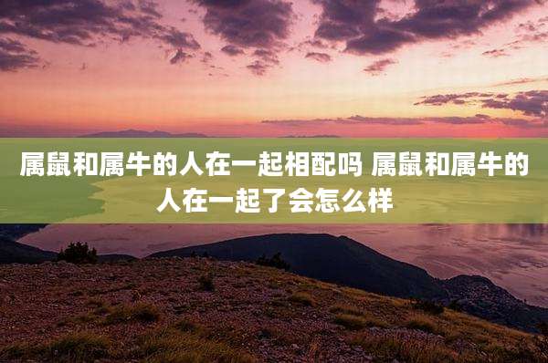 属鼠和属牛的人在一起相配吗 属鼠和属牛的人在一起了会怎么样