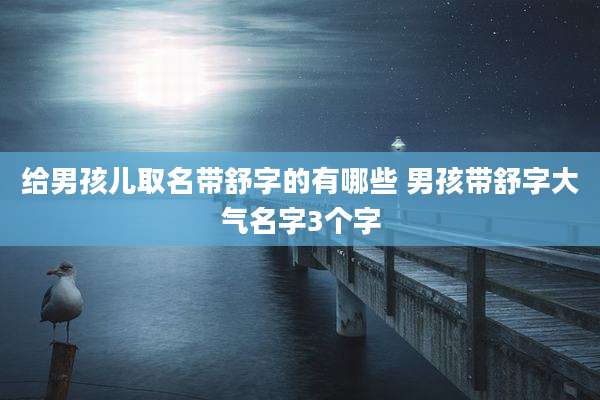 给男孩儿取名带舒字的有哪些 男孩带舒字大气名字3个字