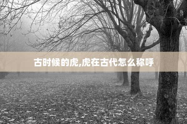 古时候的虎,虎在古代怎么称呼