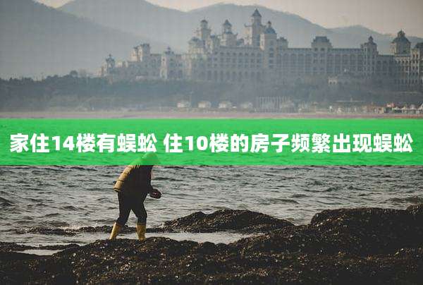家住14楼有蜈蚣 住10楼的房子频繁出现蜈蚣